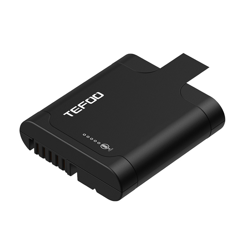 Standard battery pack Standard Smart Lithium Battery Supplier—TEFOO